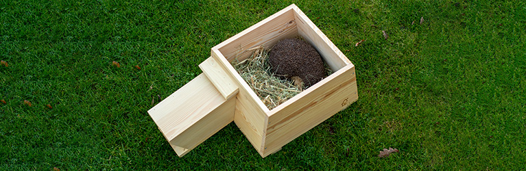 How to build a hedgehog house?