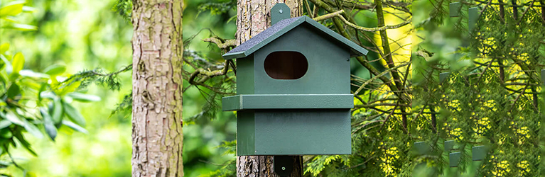 Where to hang a squirrel nest box?