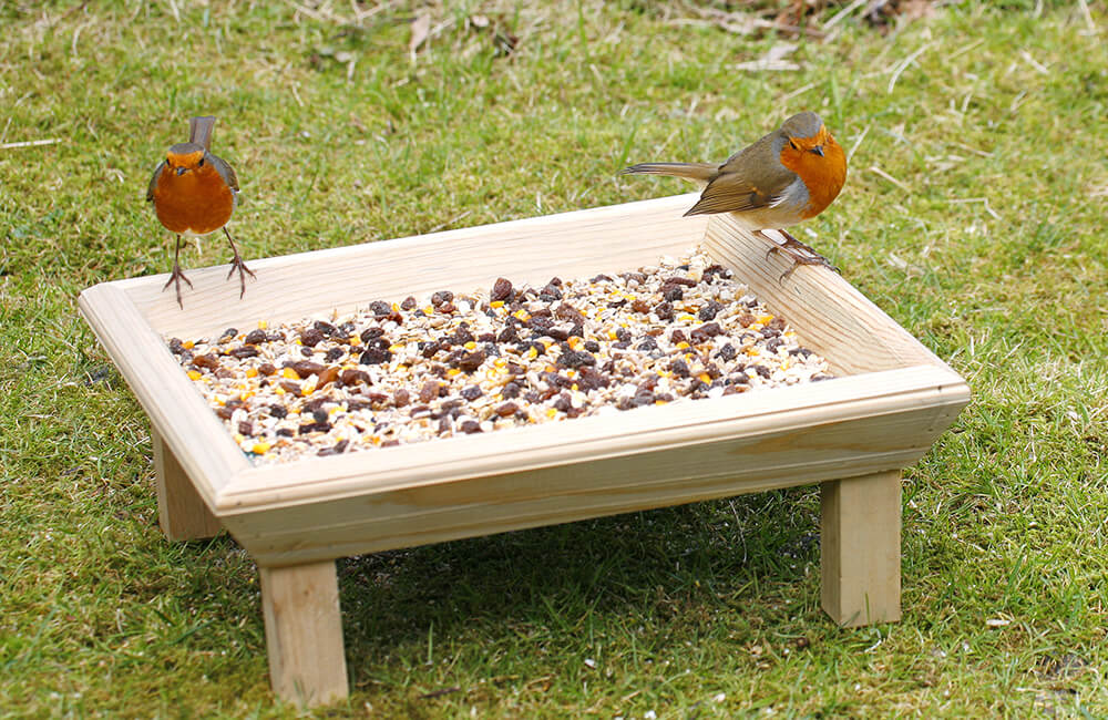 A bird table with 2 robin visitors.