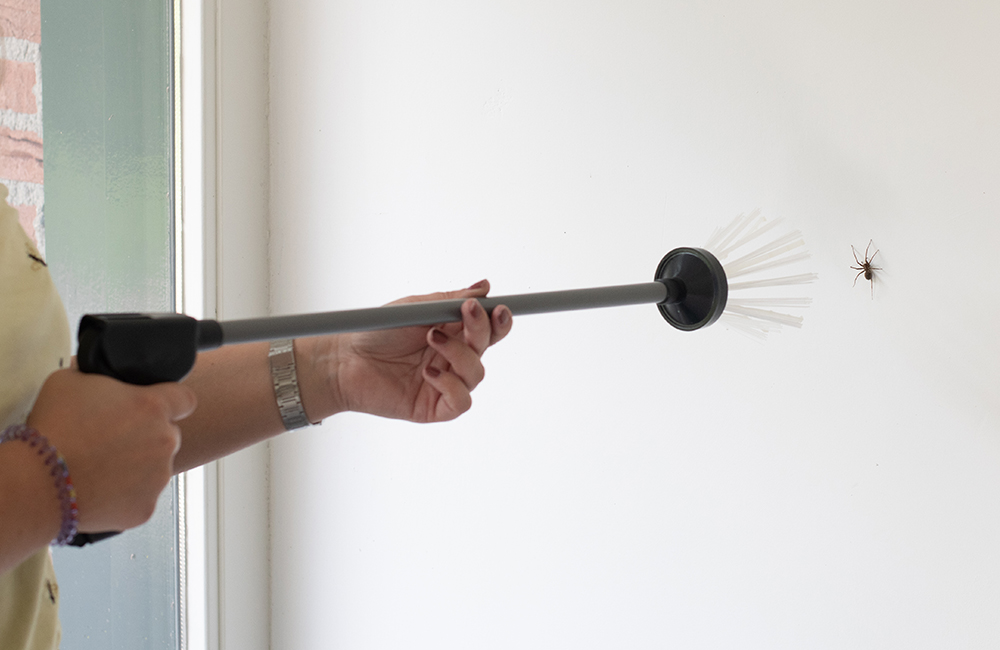 A woman holding a bug remover to catch a spider that managed to get inside the house.