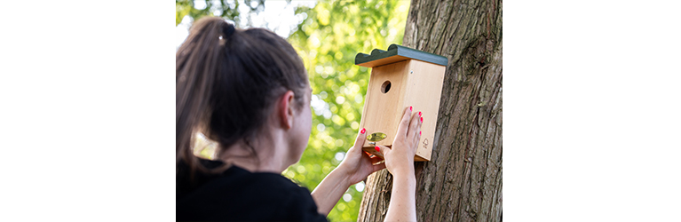 Where to put a bird box?