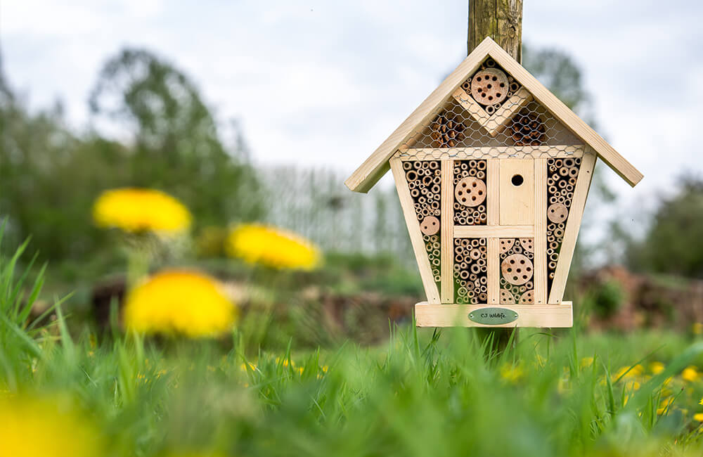 An insect hotel surrounded by plants on a field