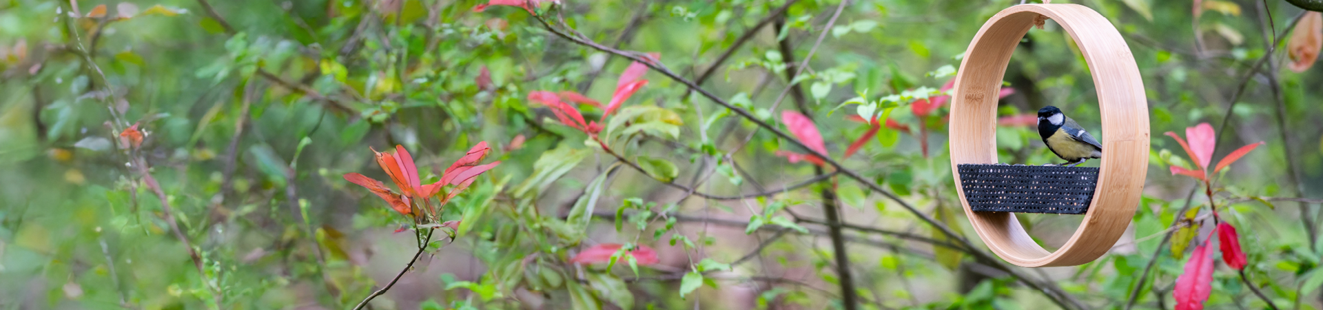 Osaka Bamboo Bird Feeder