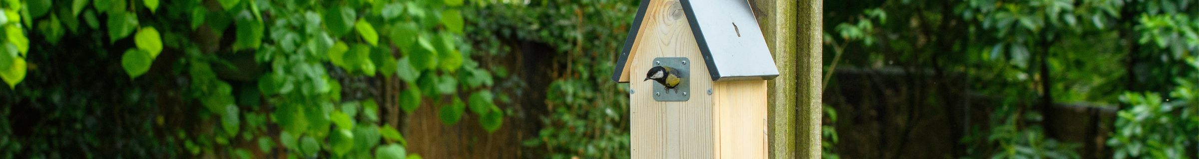 our bird nest boxes are made with the best quality materials