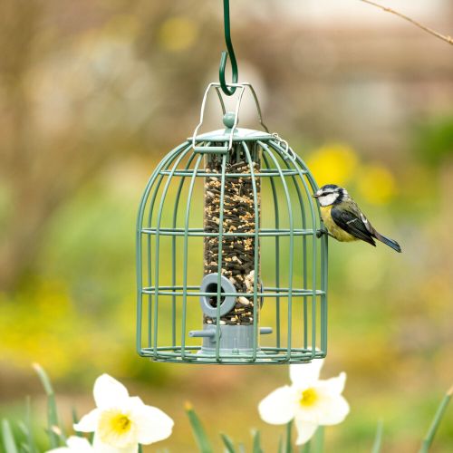The Compact Seed Feeder