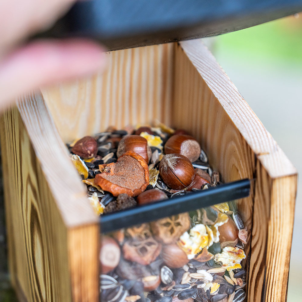 Infographic about different types of nest boxes