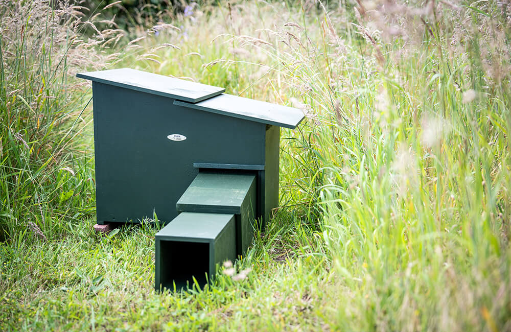 A professional hedgehog house