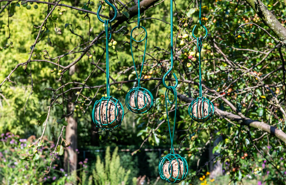 Our fat ball feeder Lima is a popular choice due to it's flexibility.