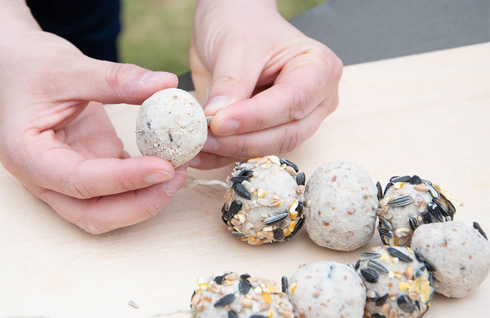 Peanut butter modelling clay, which can also be used for fat balls.
