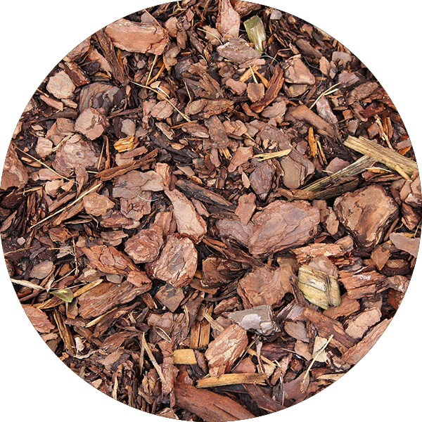 Dried tree bark on the ground.