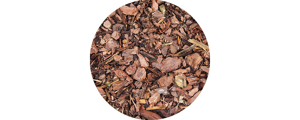 Dried tree bark on the ground.