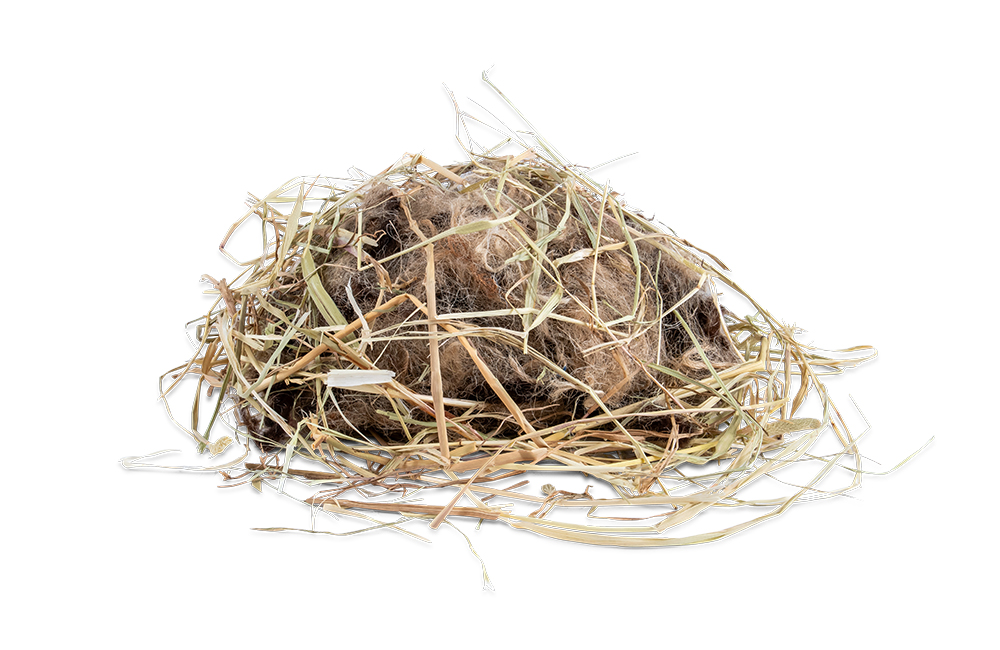 Nesting material you can buy