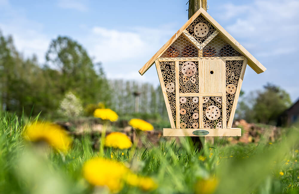 A bee hotel which is placed in a lush nature landscape.
