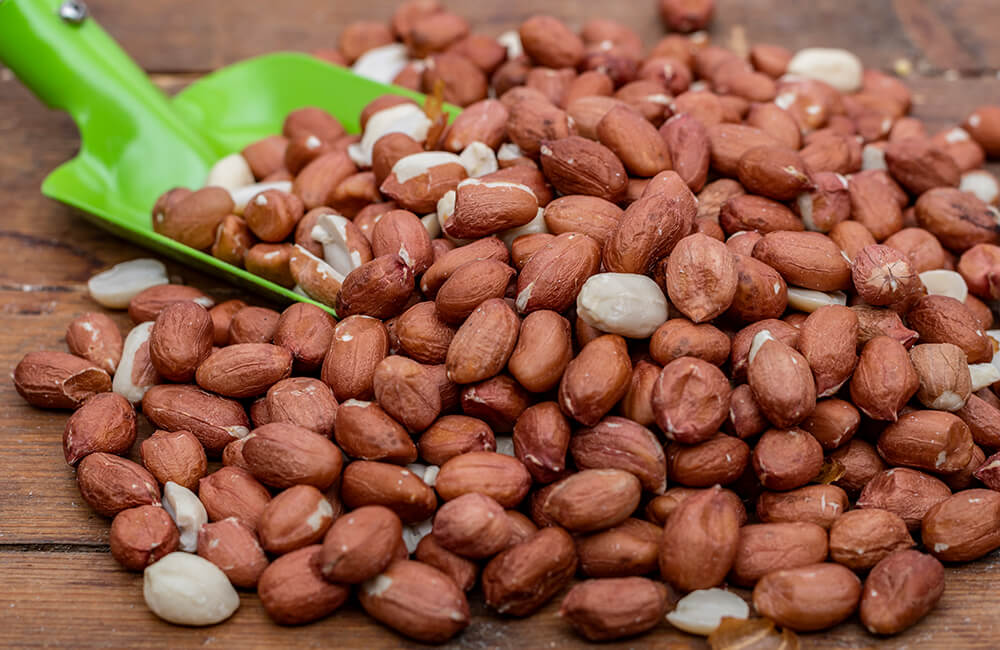 Whole peanuts for birds.