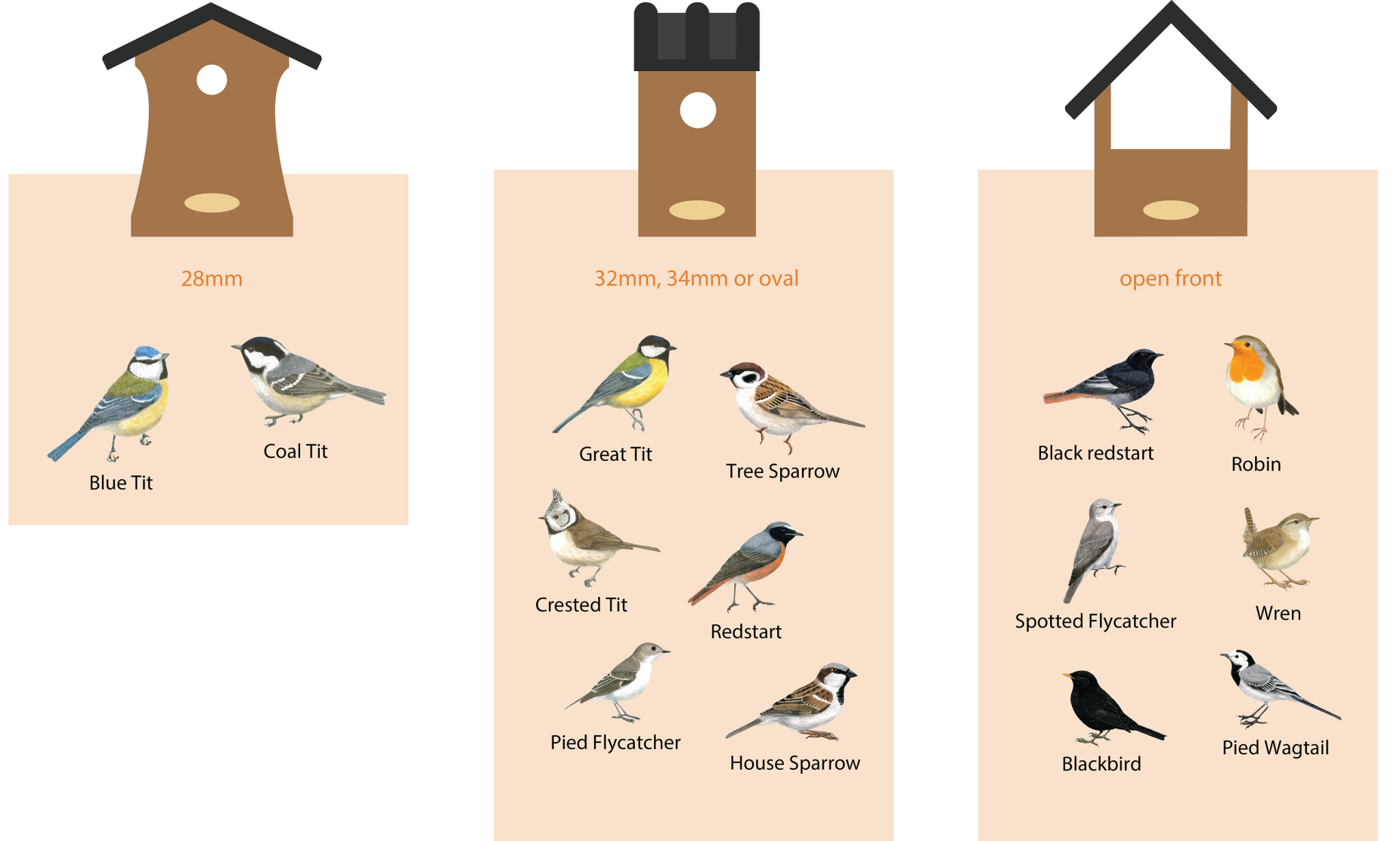 Infographic about different types of nest boxes